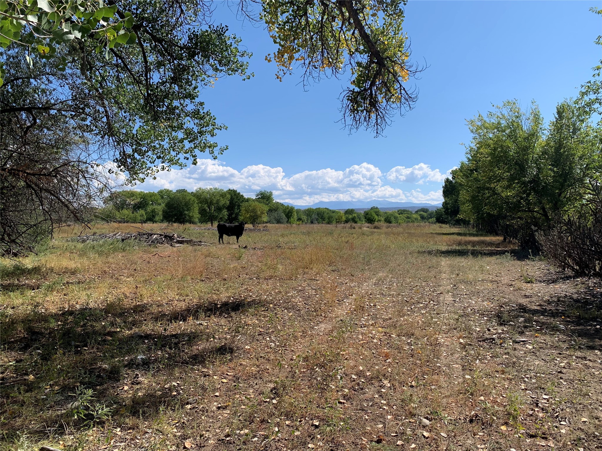 Los Luceros, New Mexico 87511, United States, ,Land,Pending,72377