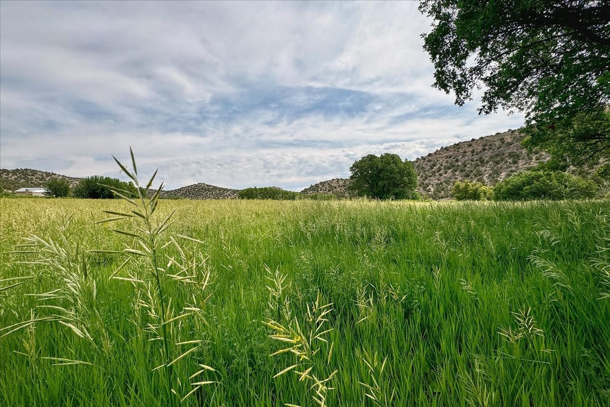 144 Hwy 341, La Madera, New Mexico image 8