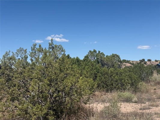 13 ROCKRIDGE RD, CERRILLOS, NM 87010 - Image 1184fd2e1a2ccad44f7a1ea9b726f6fb/595347634