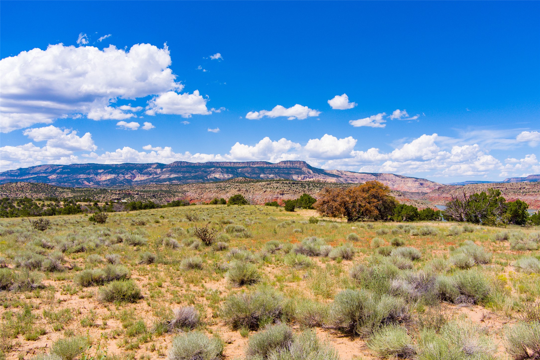 LOT 161 Rd 1721, Abiquiu, New Mexico image 30