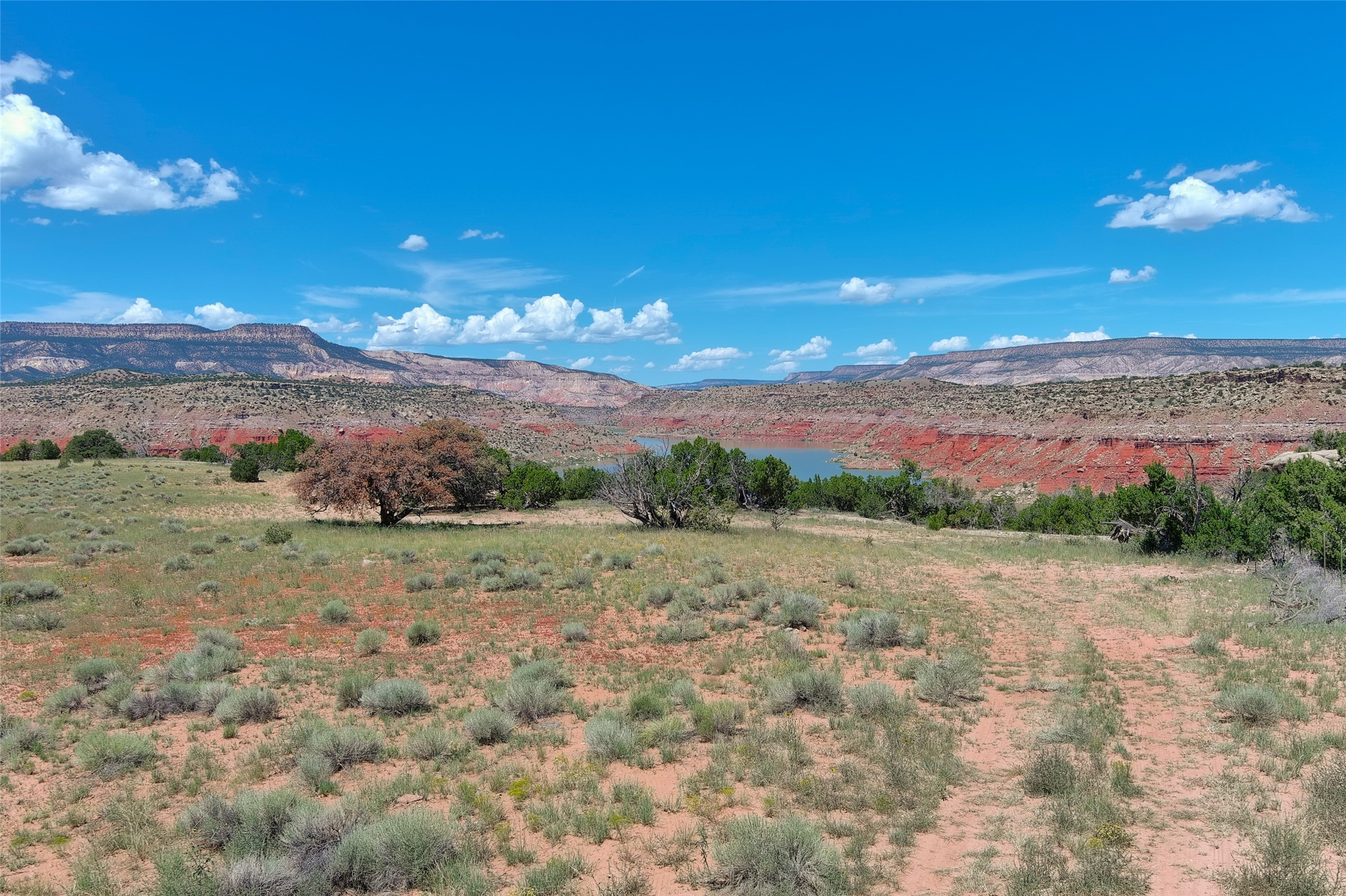 LOT 161 Rd 1721, Abiquiu, New Mexico image 10