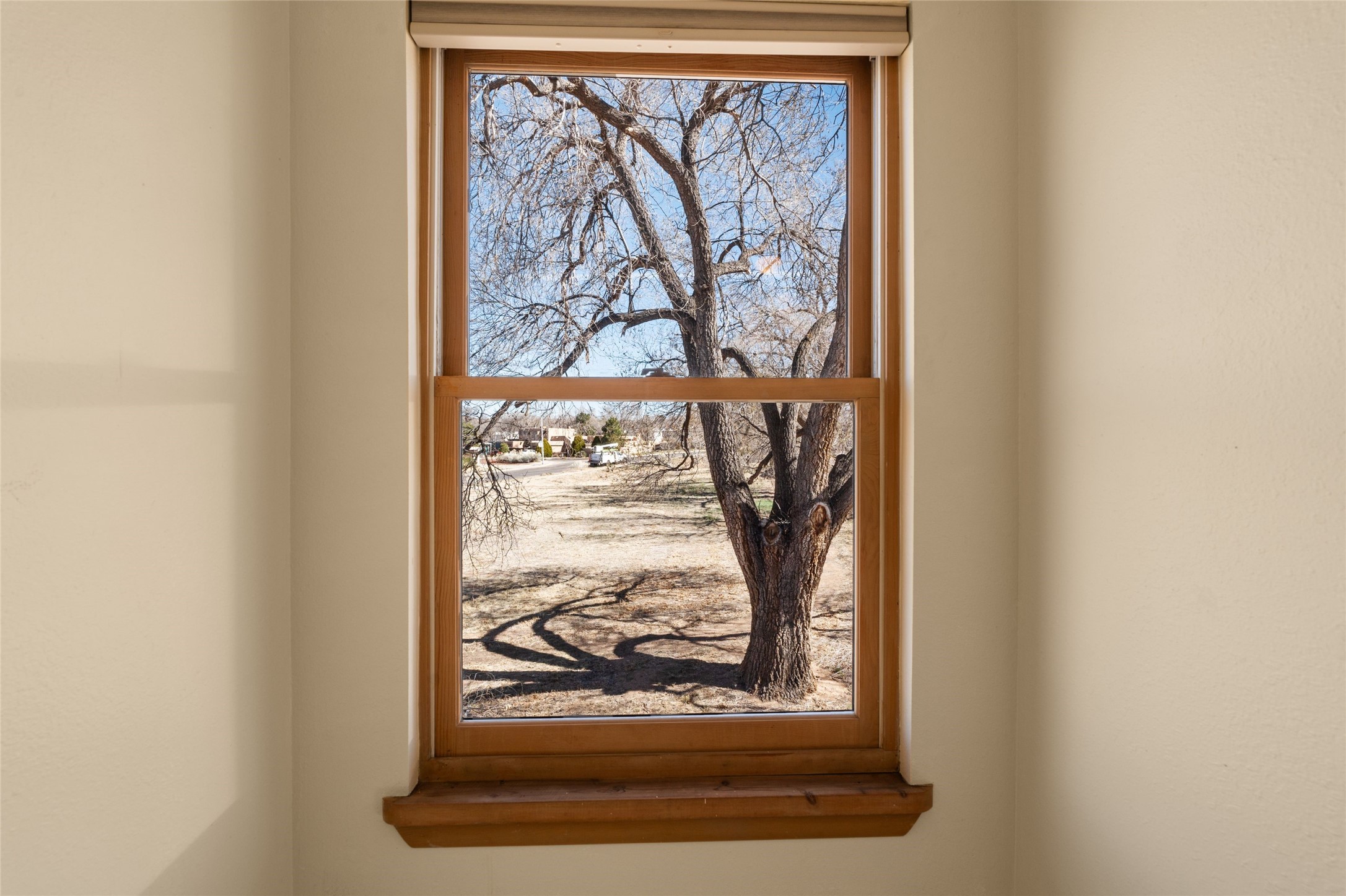 1533 Camino La Canada, Santa Fe, New Mexico image 17