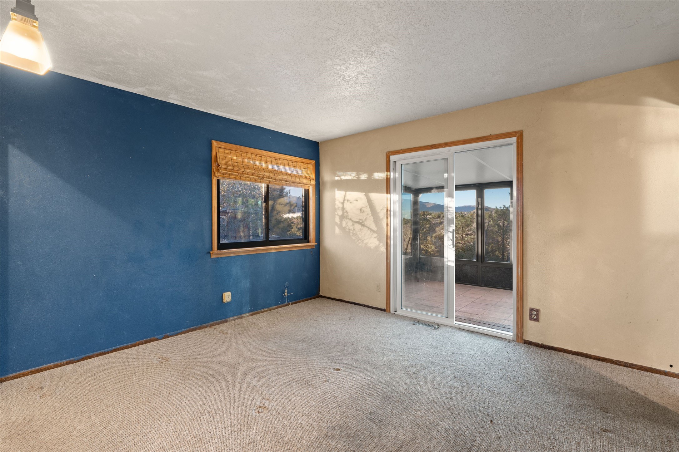 1180 Sioux St, Los Alamos, New Mexico image 46