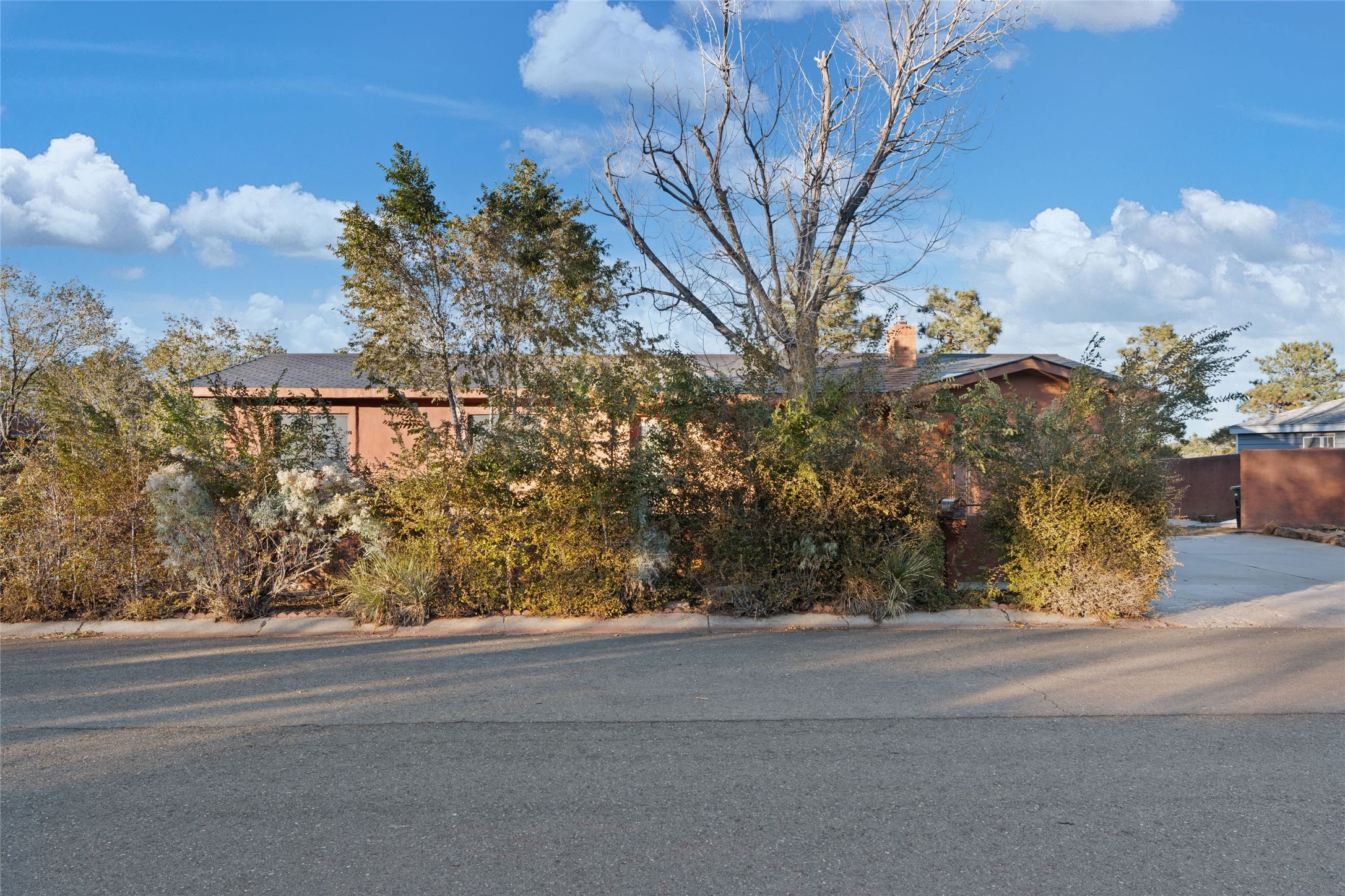 1180 Sioux St, Los Alamos, New Mexico image 44