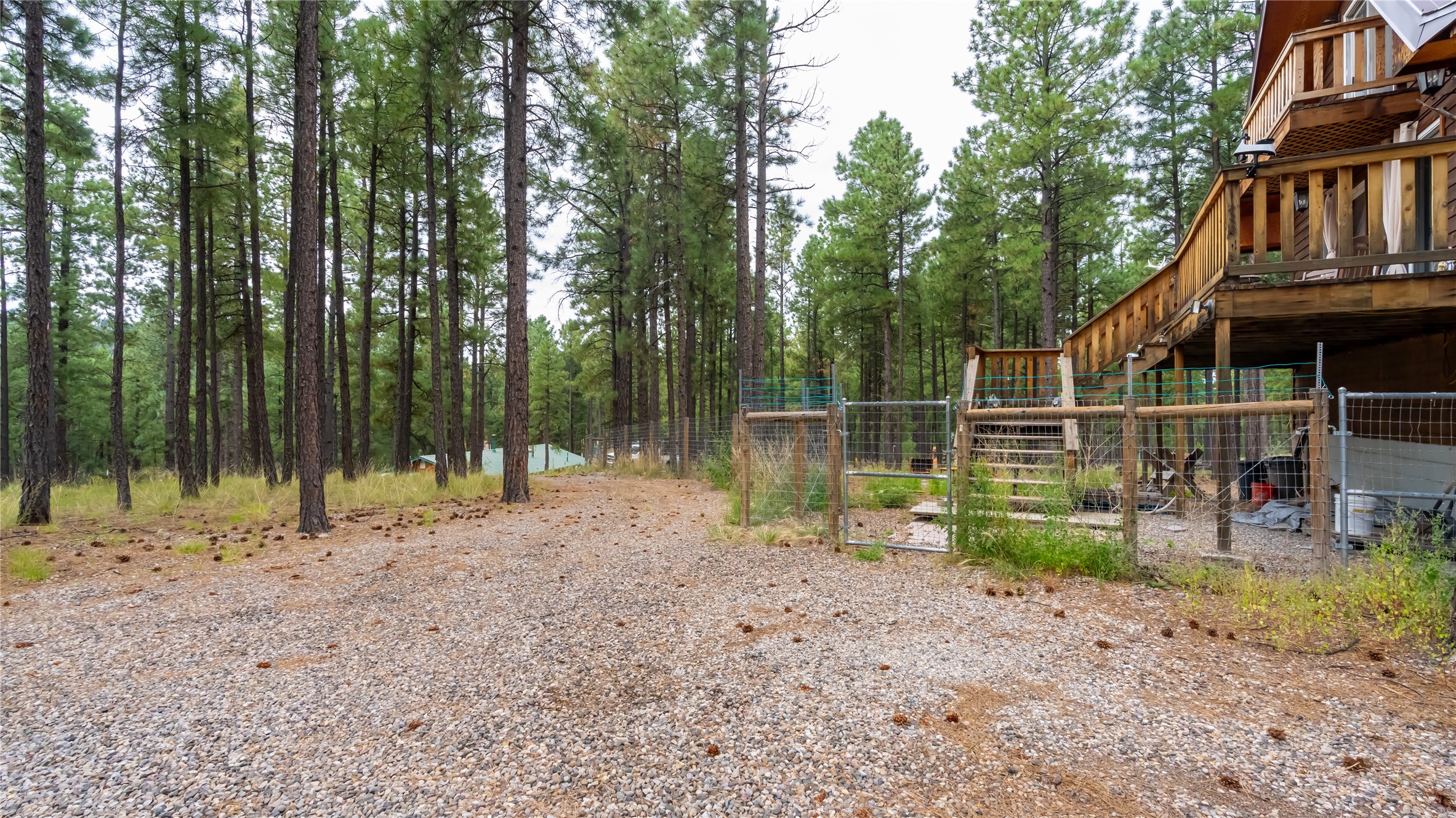 104 Trilobite Trail, Jemez Springs, New Mexico image 18