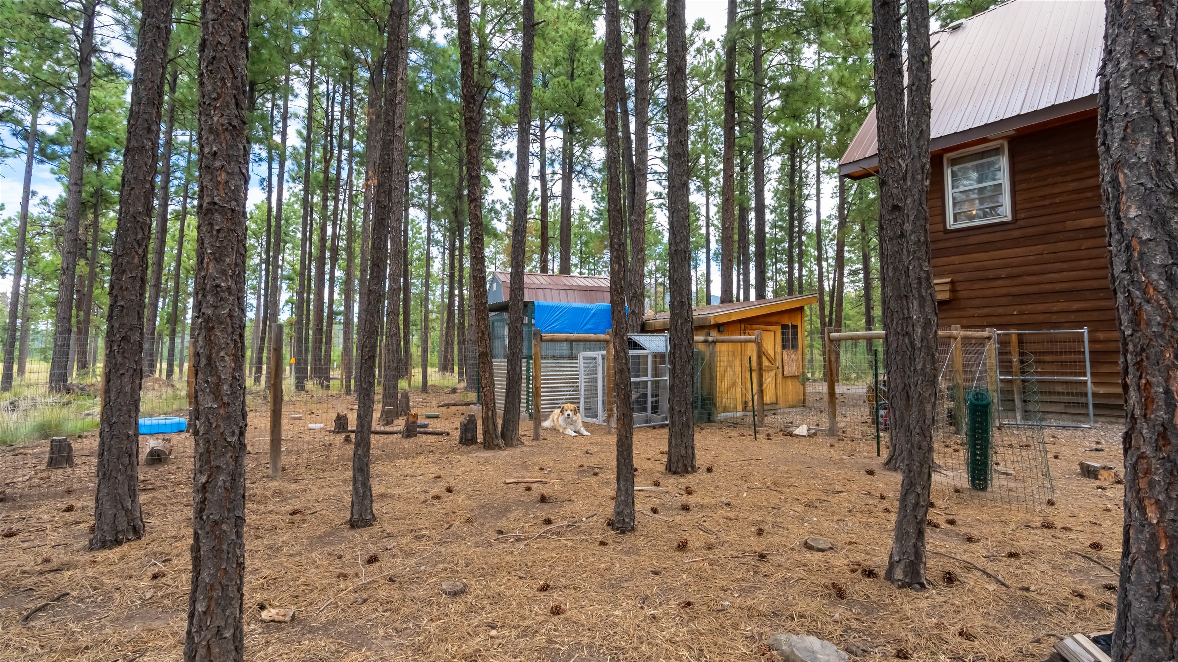 104 Trilobite Trail, Jemez Springs, New Mexico image 14