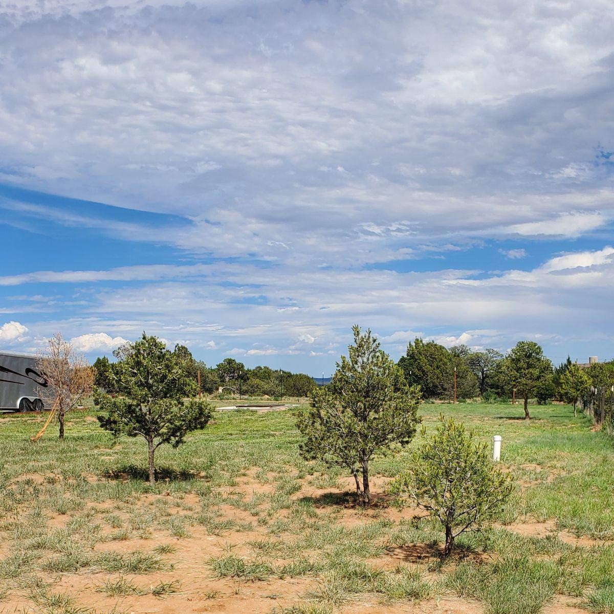 49 Broken Arrow Rd, Ilfeld, New Mexico image 6