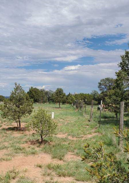 49 Broken Arrow Rd, Ilfeld, New Mexico image 8