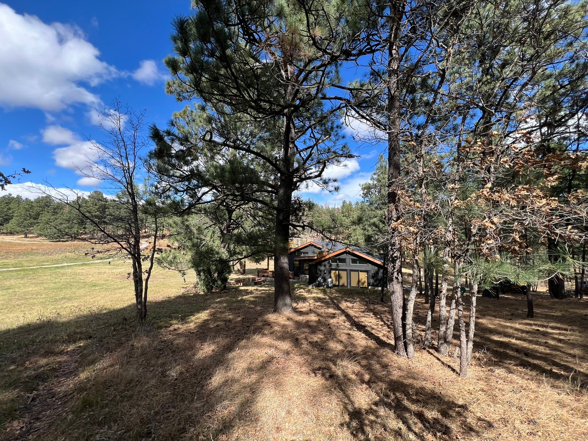 32 W Forest Drive, Rociada, New Mexico image 47