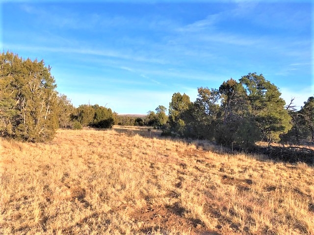 Lot 2 Cr A20, Las Vegas, New Mexico image 12