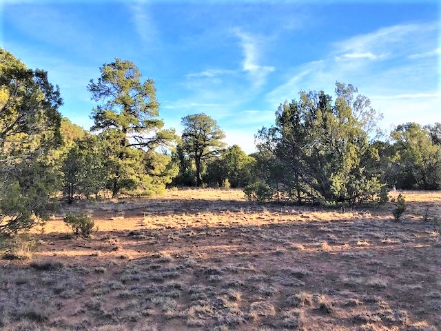 Lot 2 Cr A20, Las Vegas, New Mexico image 9