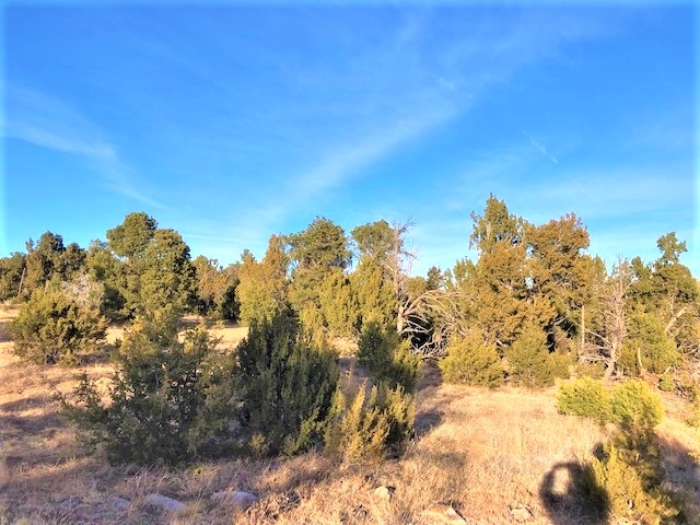 Lot 2 Cr A20, Las Vegas, New Mexico image 5