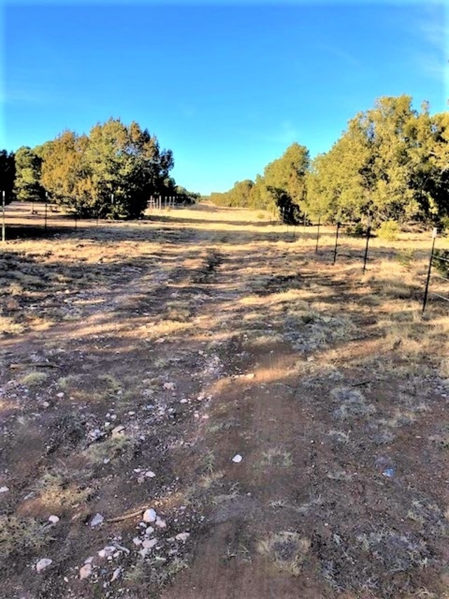 Lot 2 Cr A20, Las Vegas, New Mexico image 2