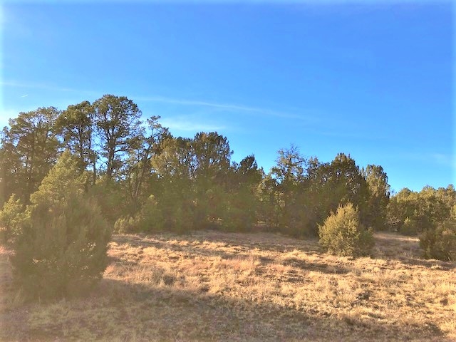 Lot 2 Cr A20, Las Vegas, New Mexico image 6