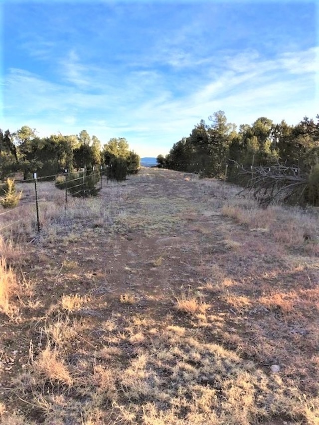 Lot 2 Cr A20, Las Vegas, New Mexico image 14