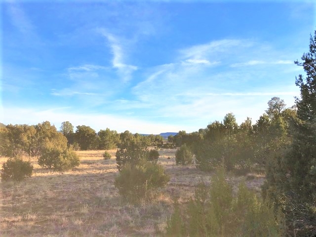 Lot 2 Cr A20, Las Vegas, New Mexico image 11