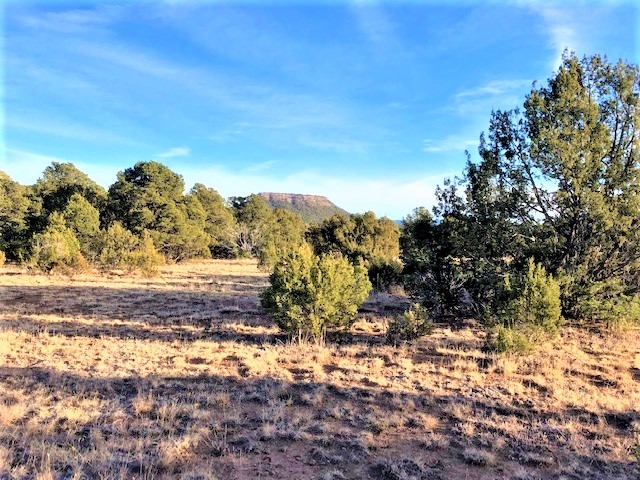 Lot 2 Cr A20, Las Vegas, New Mexico image 10