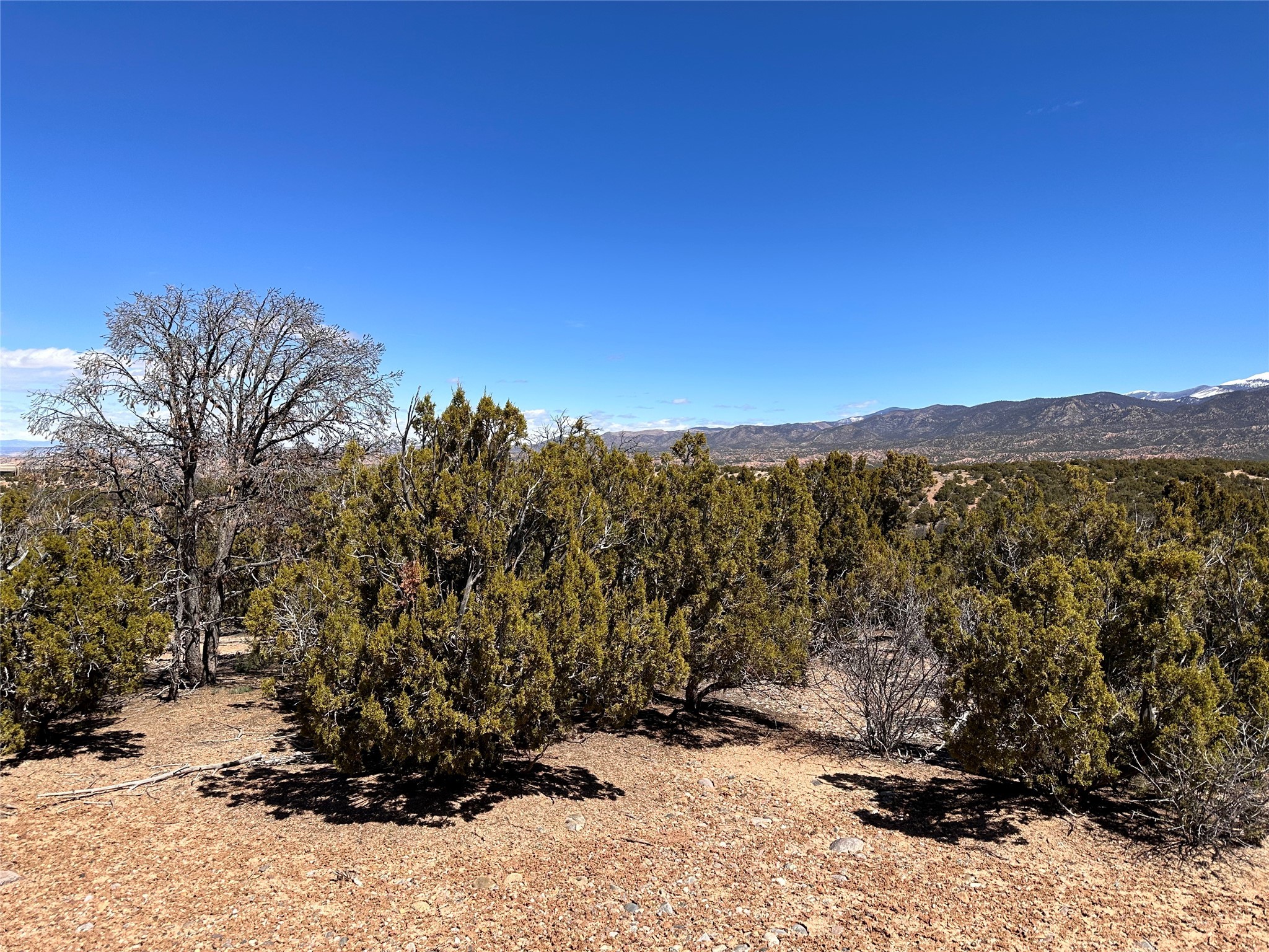 4014 Via Verdi, Lot 234, Santa Fe, New Mexico image 2