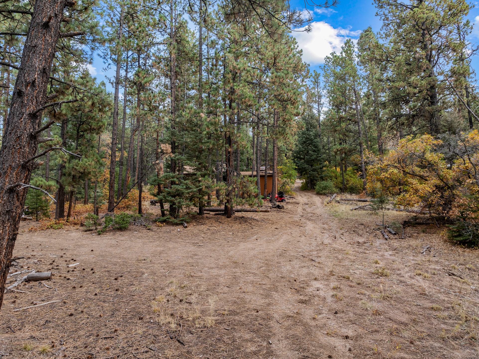 1556 Los Griegos Road, Jemez Springs, New Mexico image 50