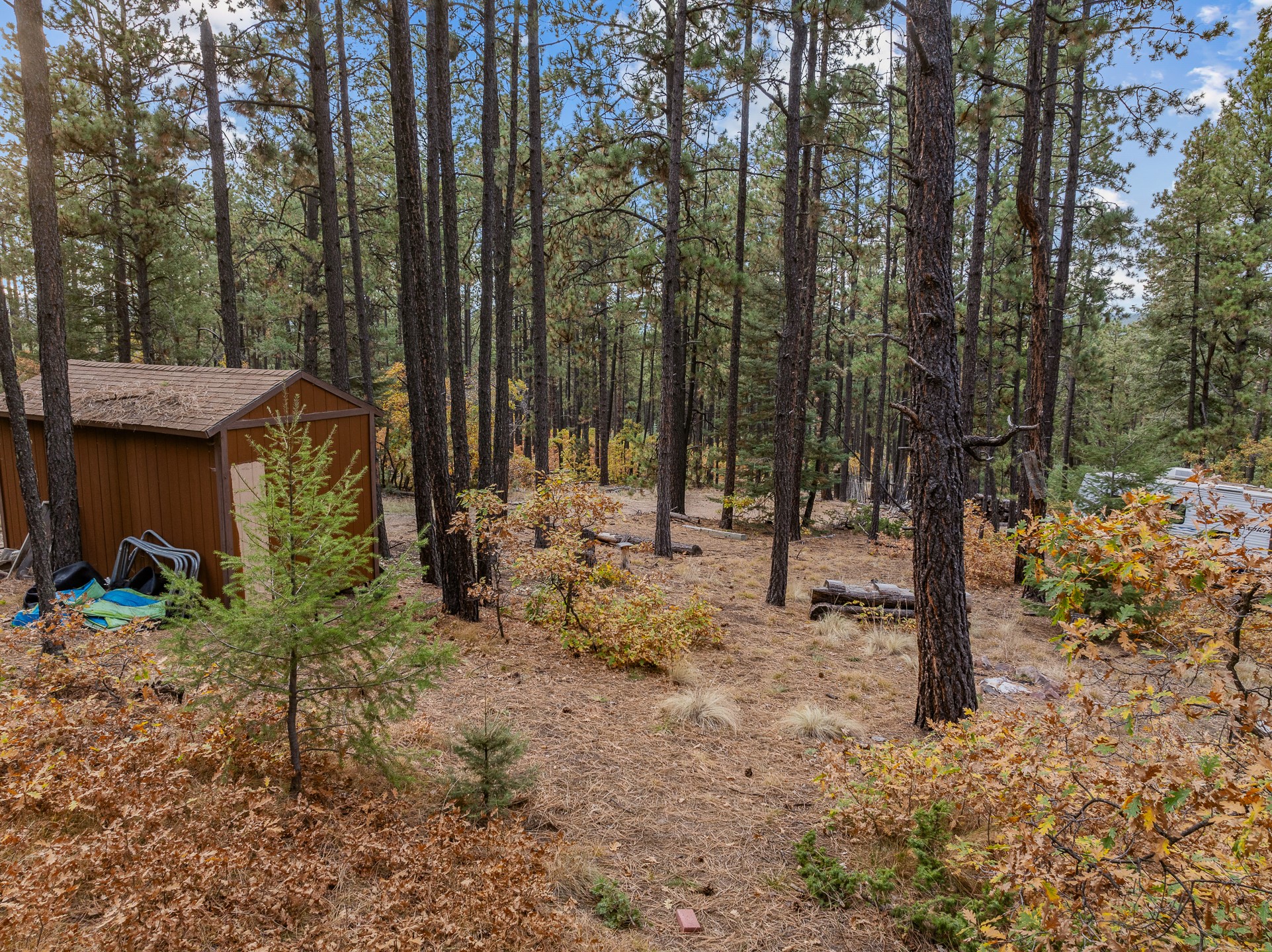 1556 Los Griegos Road, Jemez Springs, New Mexico image 49