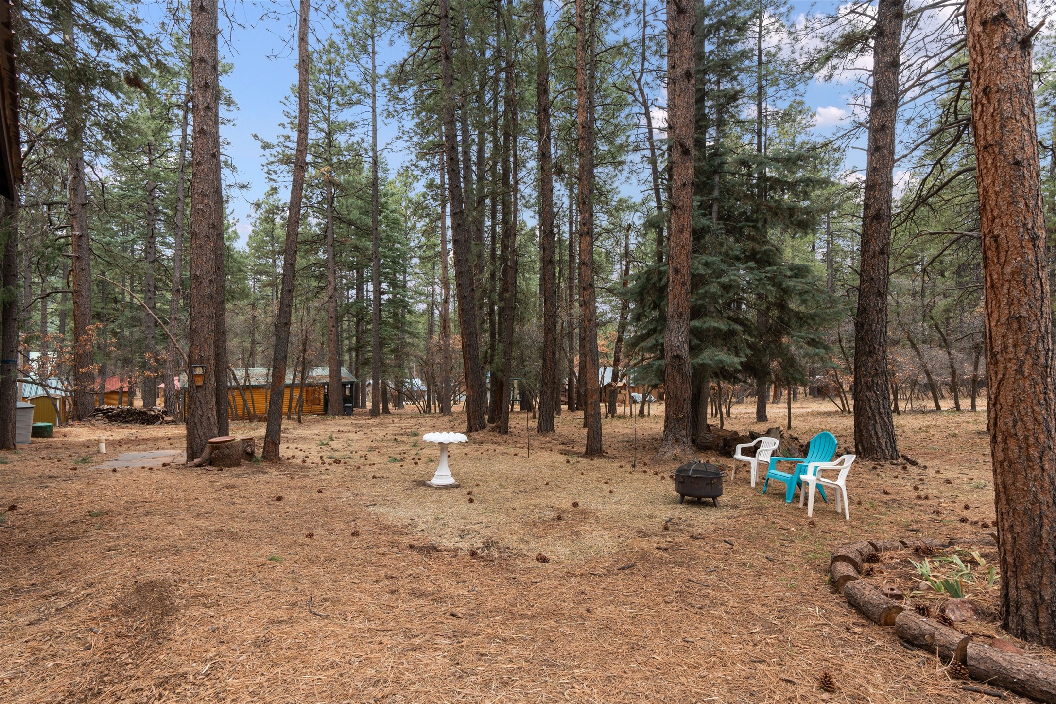 27 Bear Road, Chama, New Mexico image 44