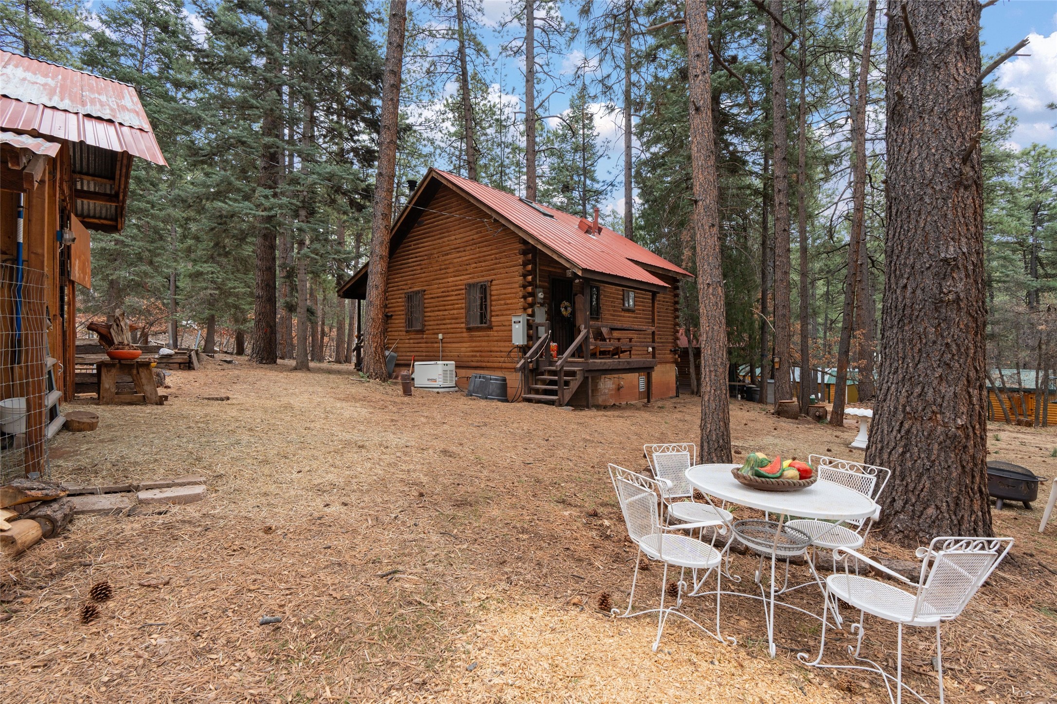 27 Bear Road, Chama, New Mexico image 43