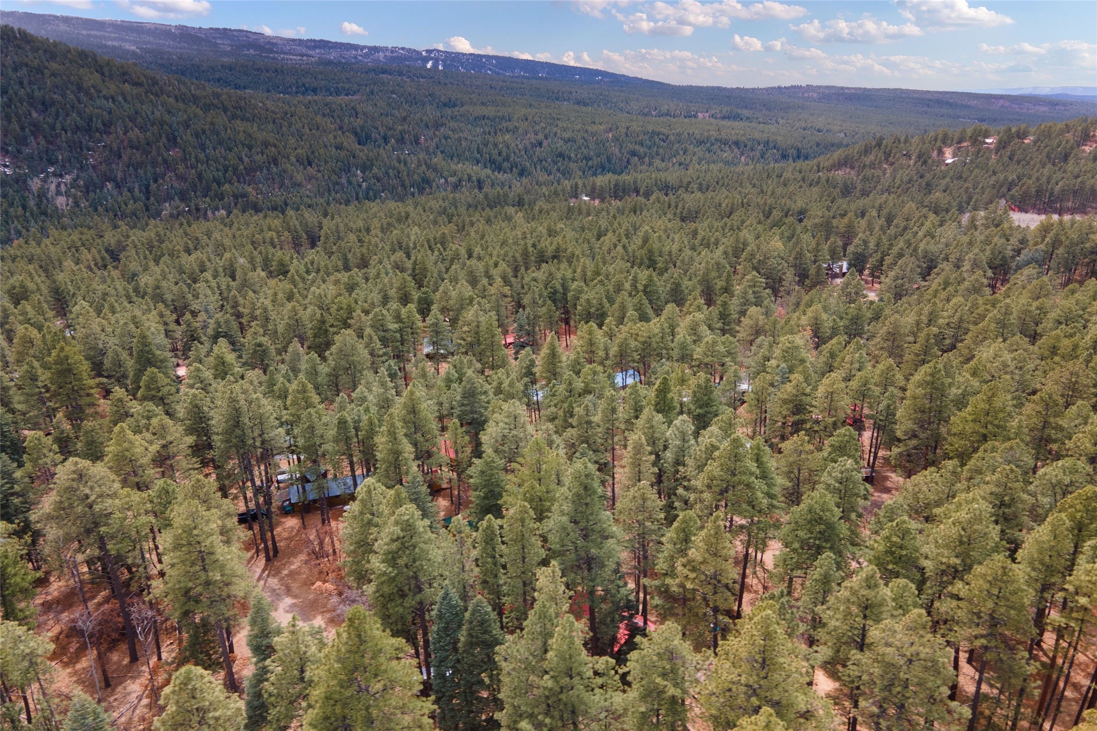 27 Bear Road, Chama, New Mexico image 49