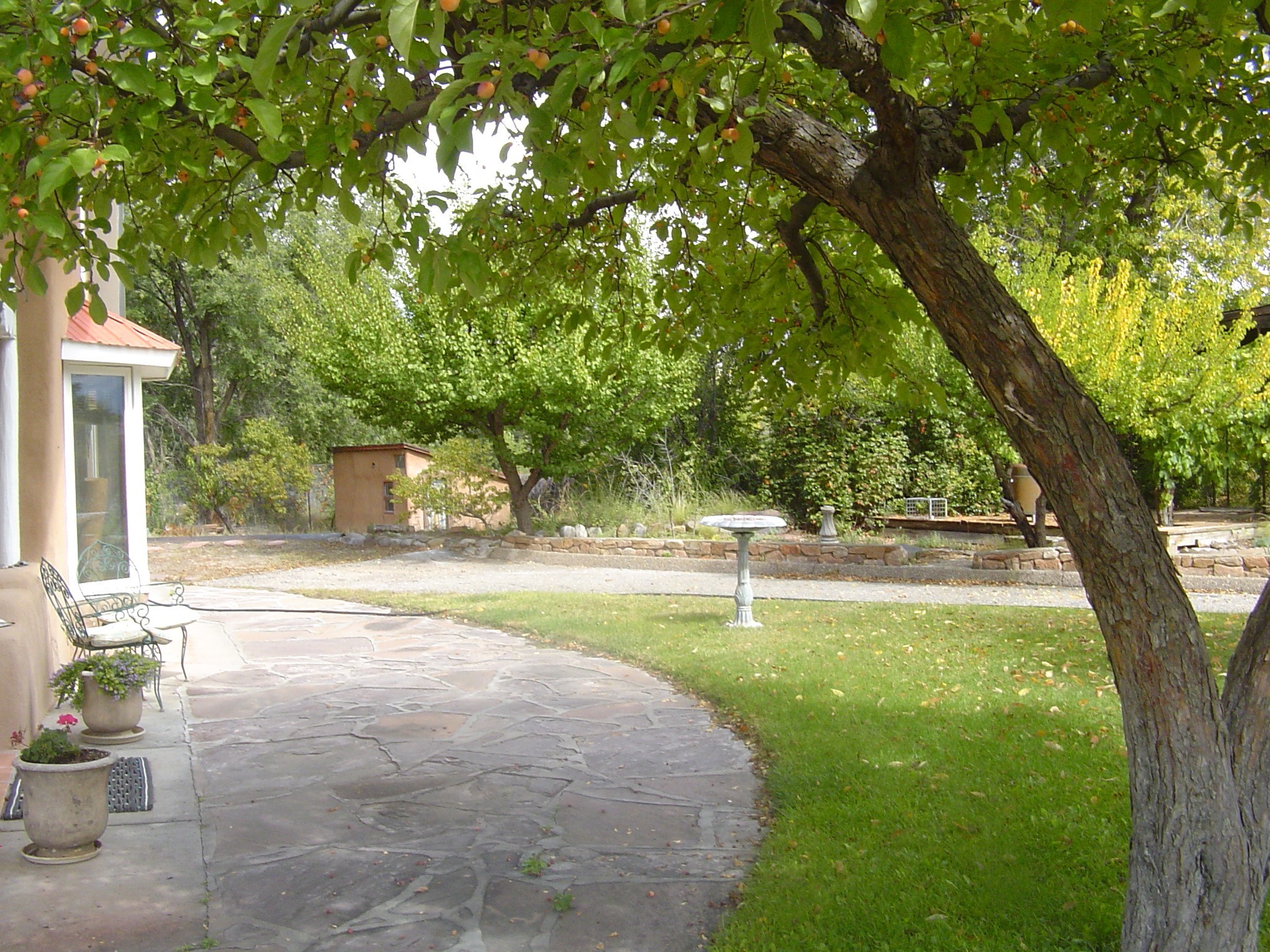 1113 Nm 76, Santa Cruz, New Mexico image 9