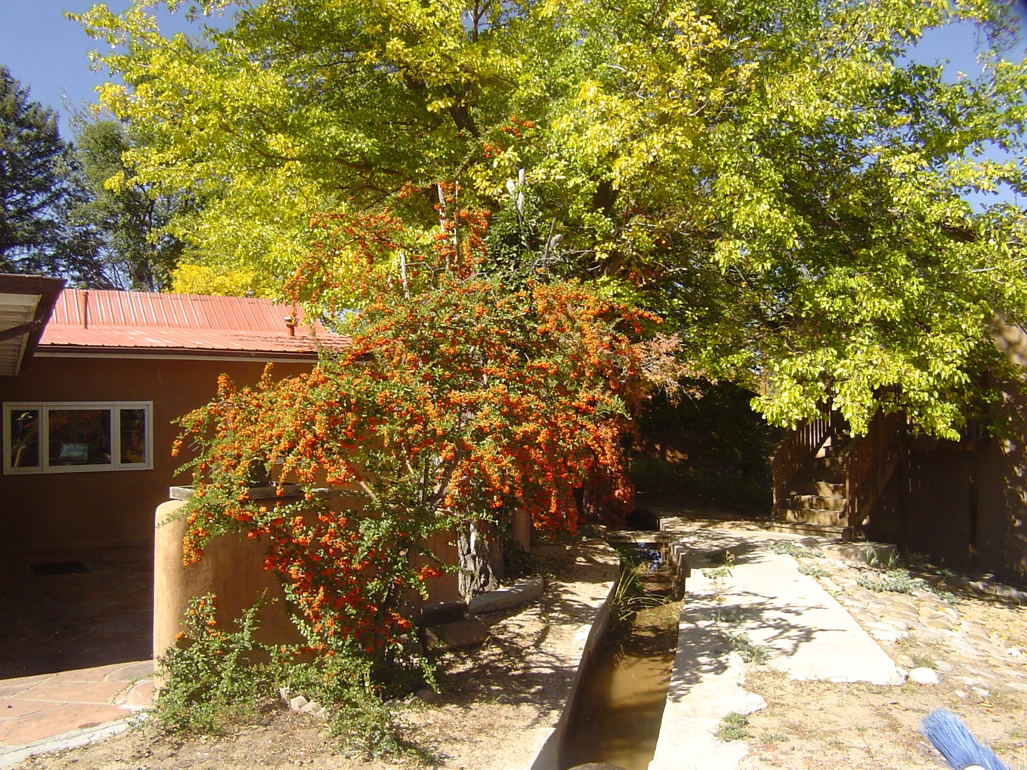 1113 Nm 76, Santa Cruz, New Mexico image 42
