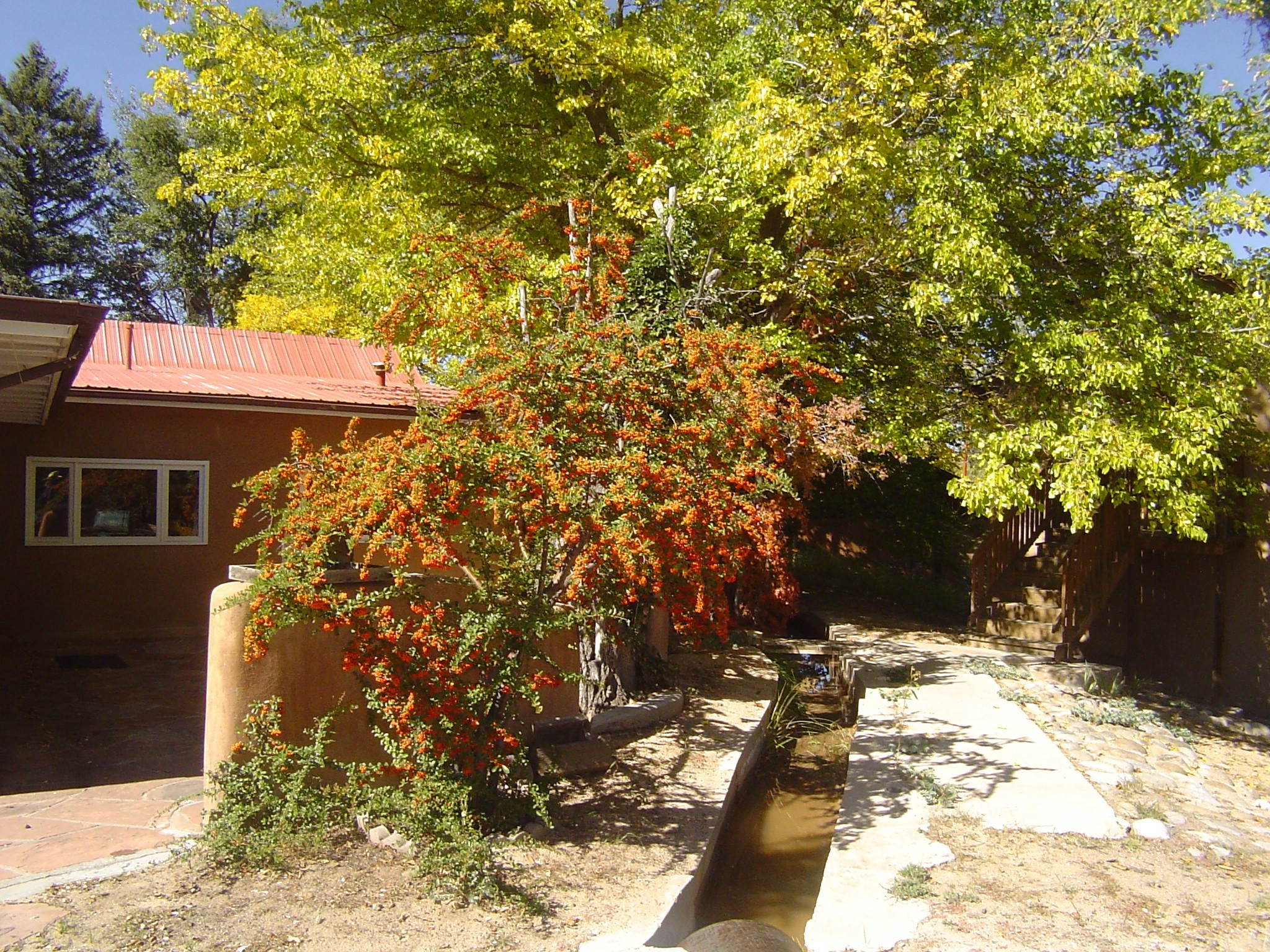 1113 Nm 76, Santa Cruz, New Mexico image 35