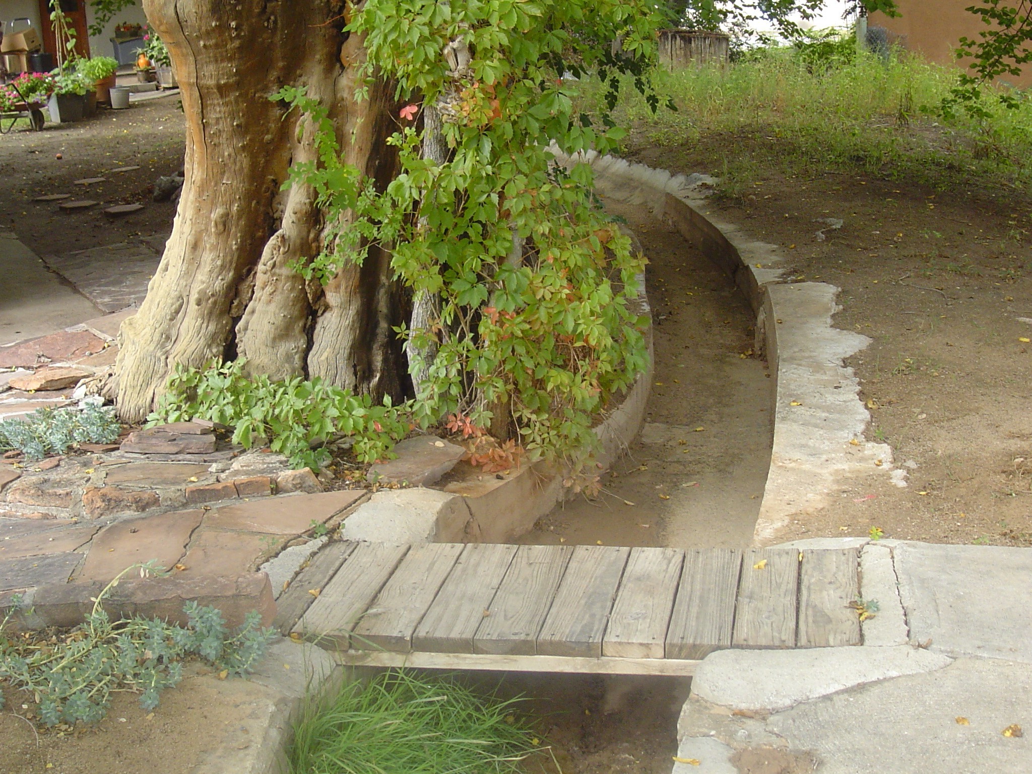 1113 Nm 76, Santa Cruz, New Mexico image 10