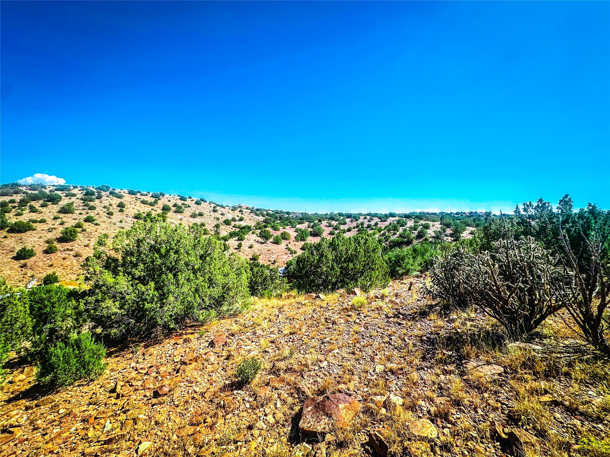 Camino San Jose, Santa Fe, New Mexico image 15