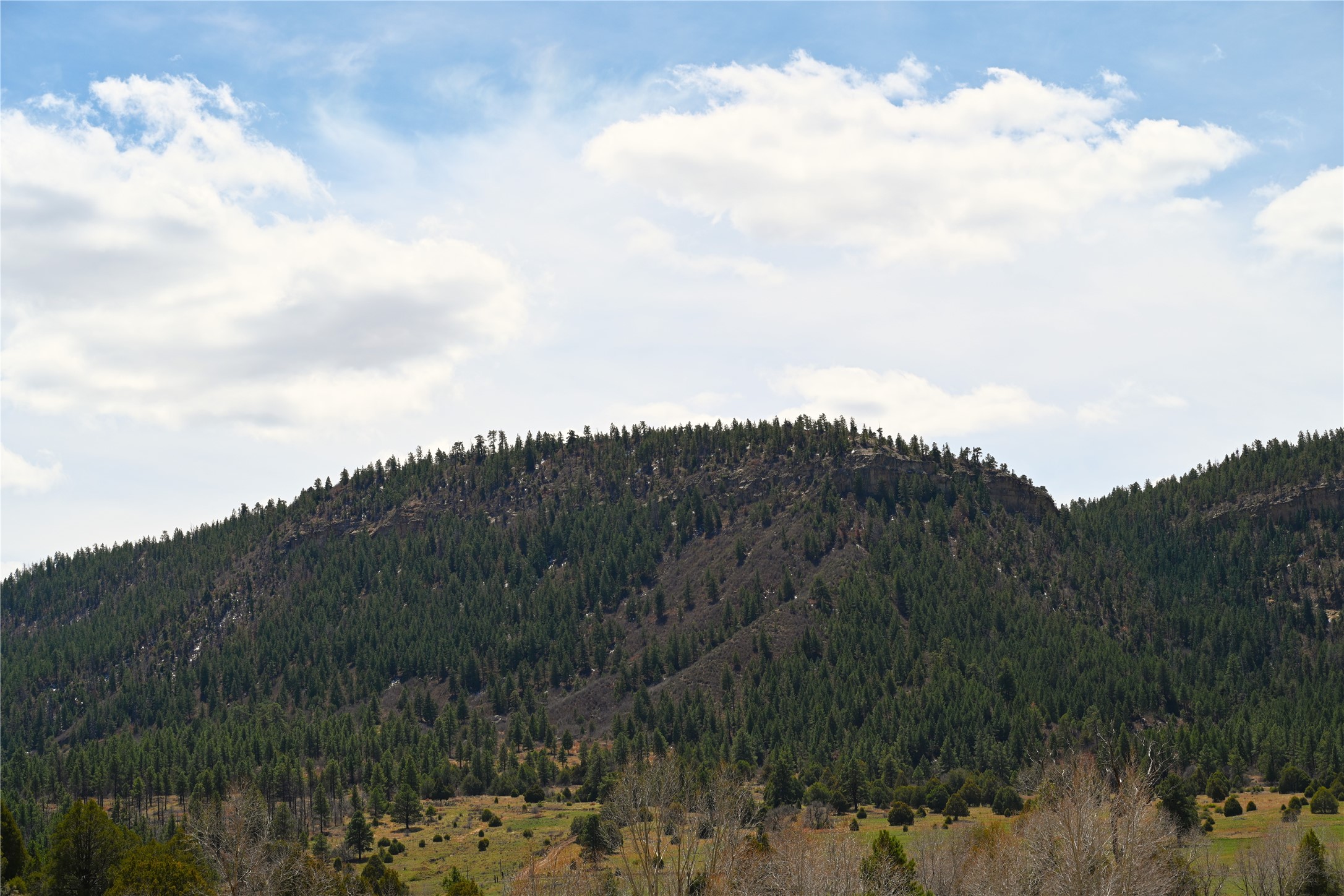 TBD Cr 352, Lumberton, New Mexico image 6