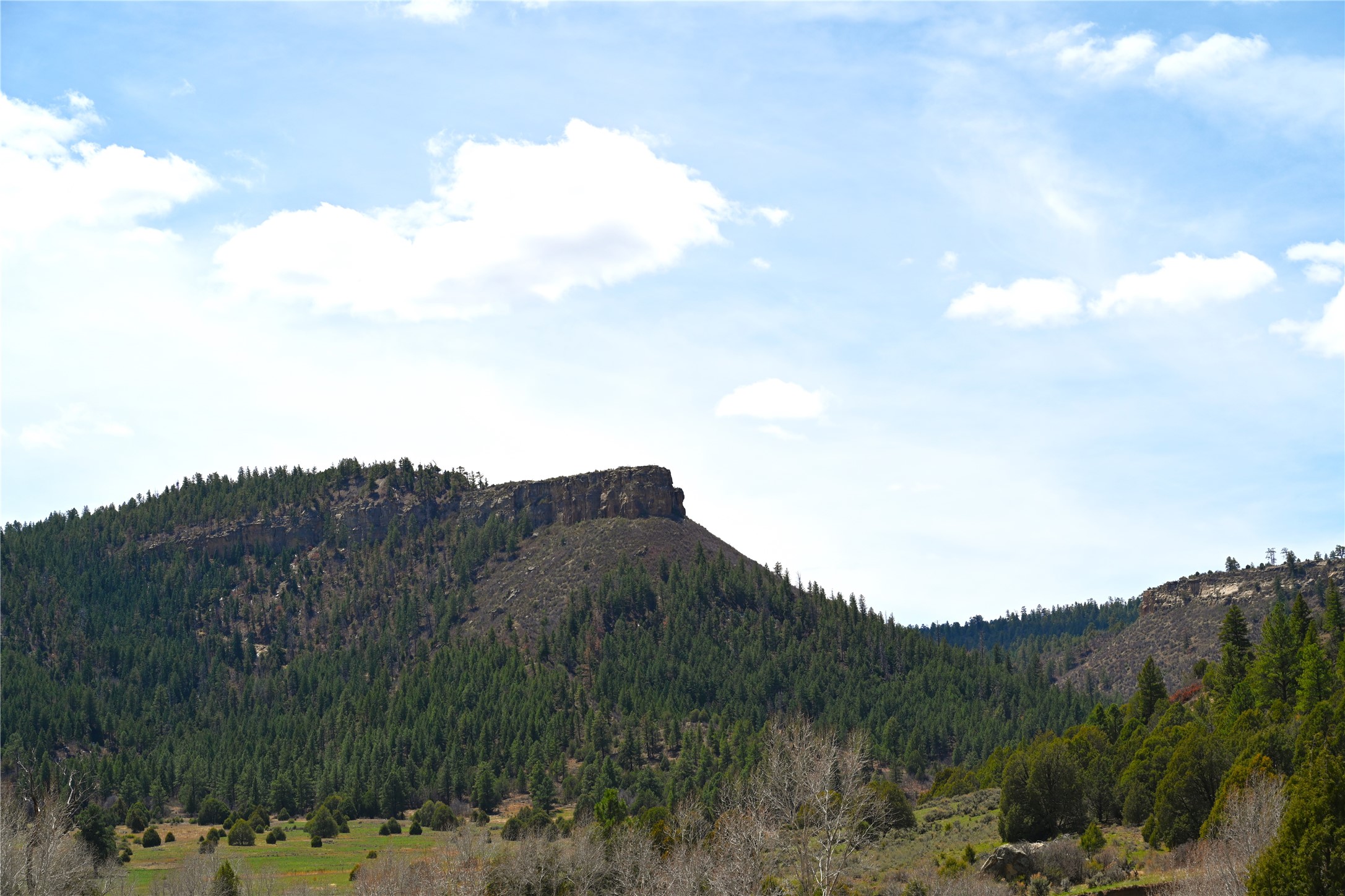 TBD Cr 352, Lumberton, New Mexico image 5