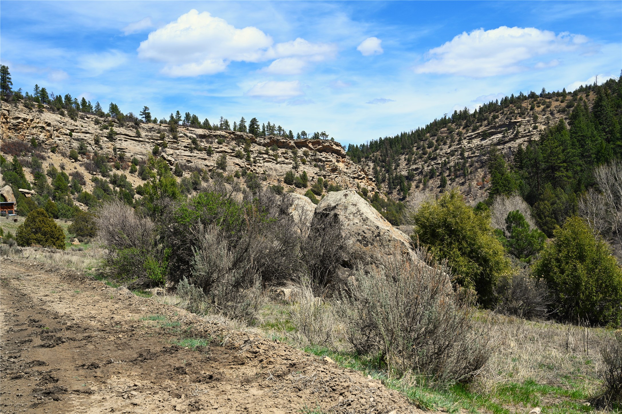 TBD Cr 352, Lumberton, New Mexico image 9