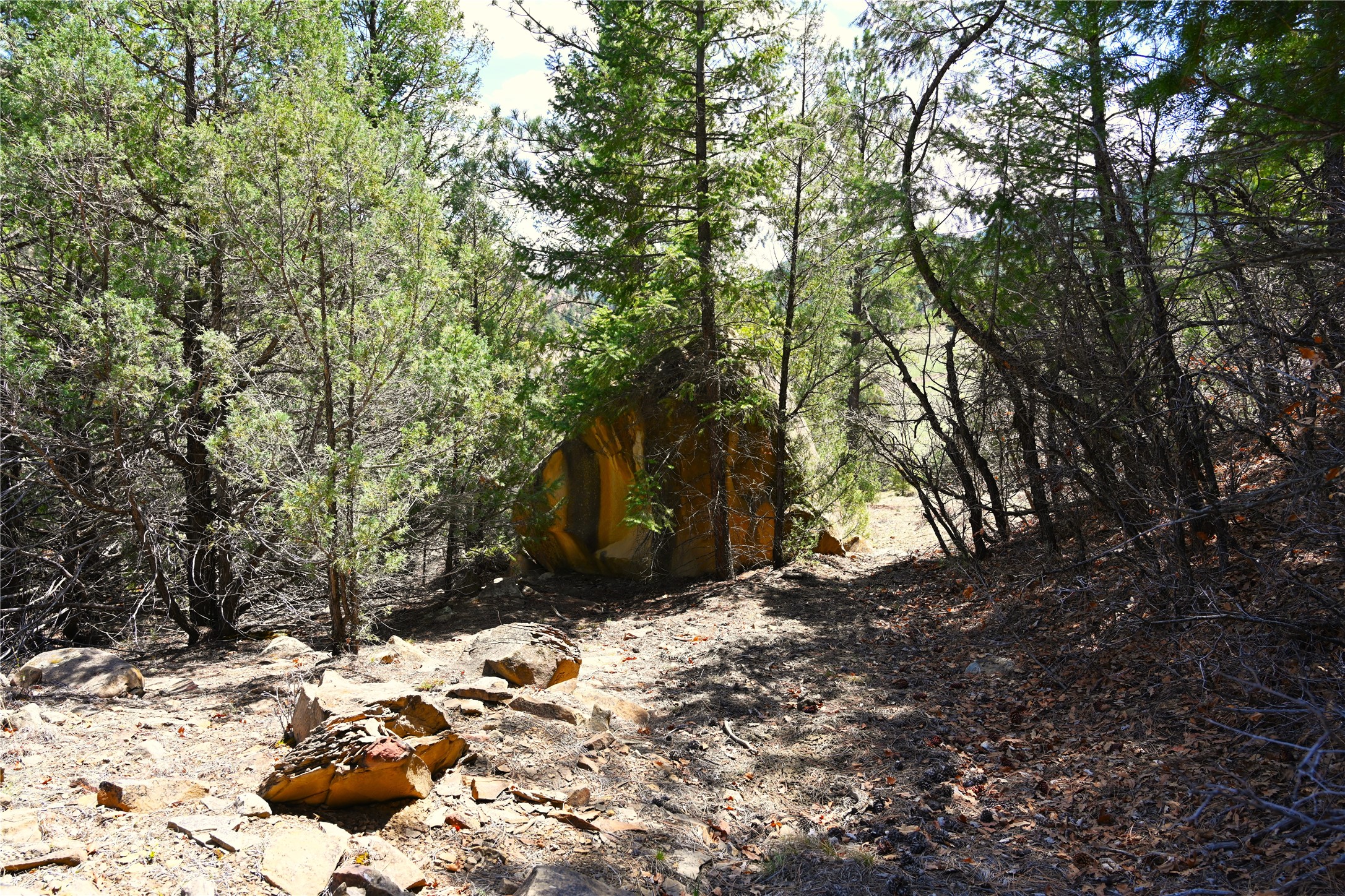 TBD Cr 352, Lumberton, New Mexico image 38