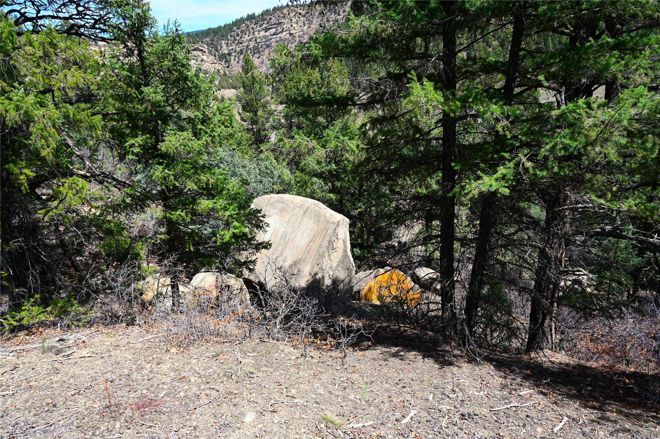 TBD Cr 352, Lumberton, New Mexico image 32