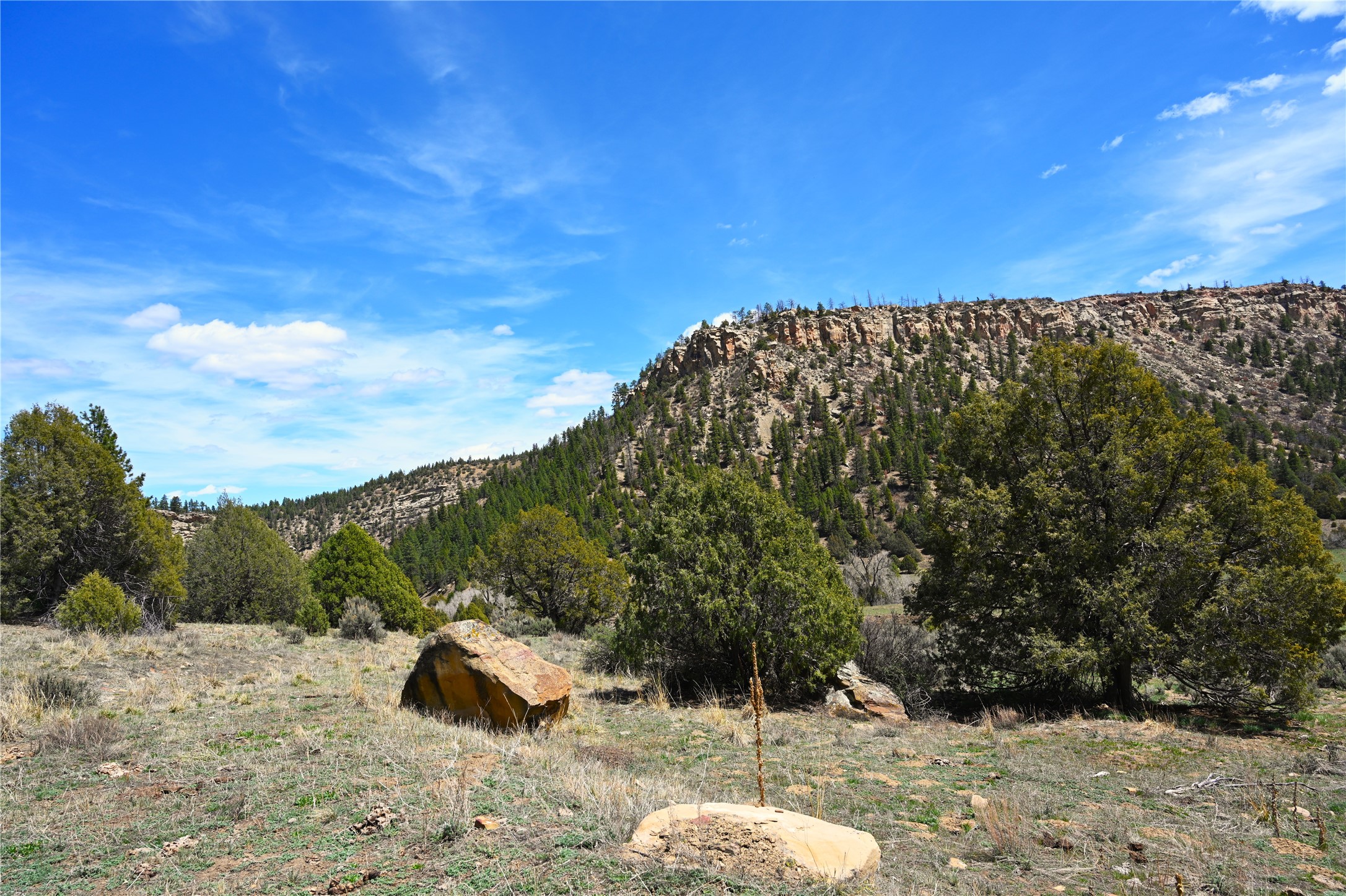 TBD Cr 352, Lumberton, New Mexico image 22