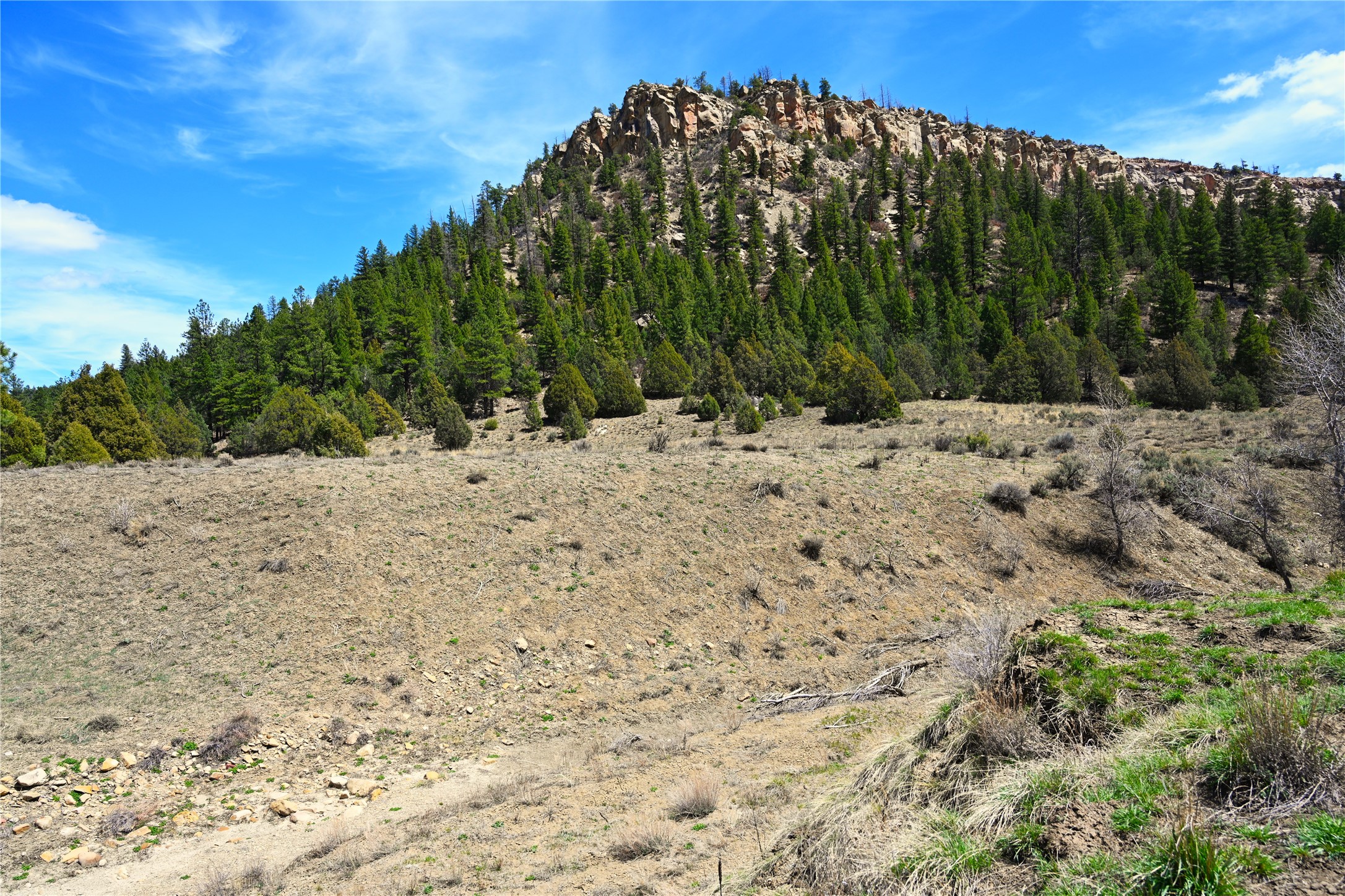TBD Cr 352, Lumberton, New Mexico image 50