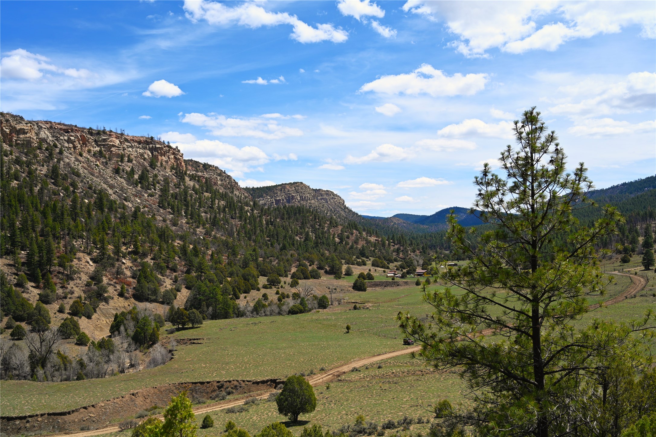TBD Cr 352, Lumberton, New Mexico image 28