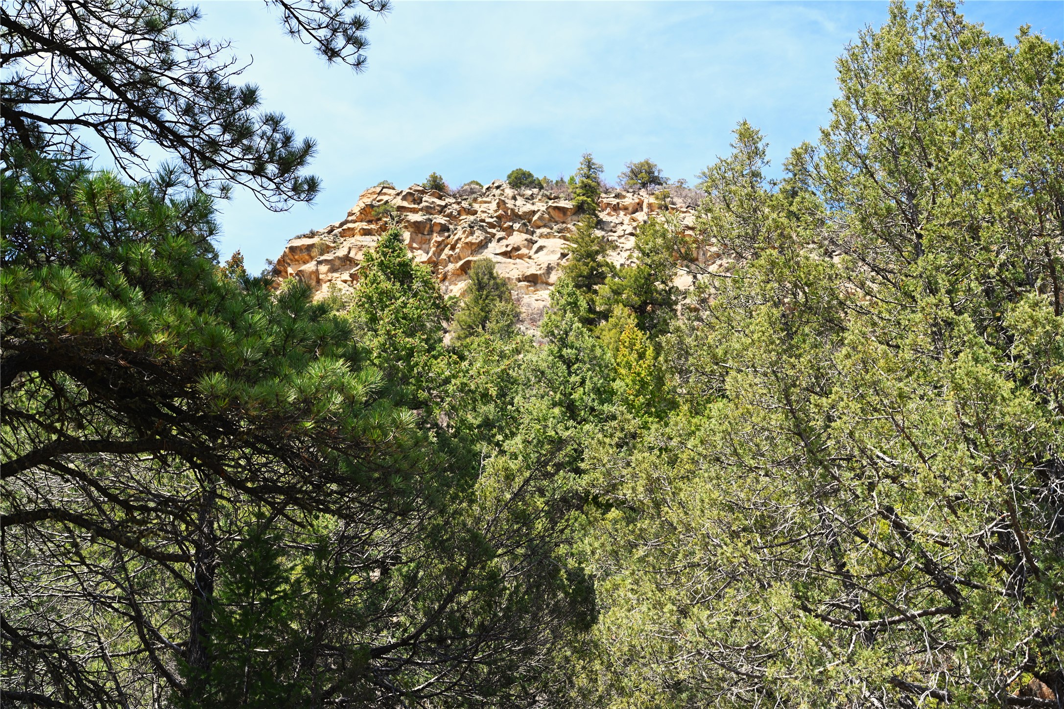 TBD Cr 352, Lumberton, New Mexico image 24