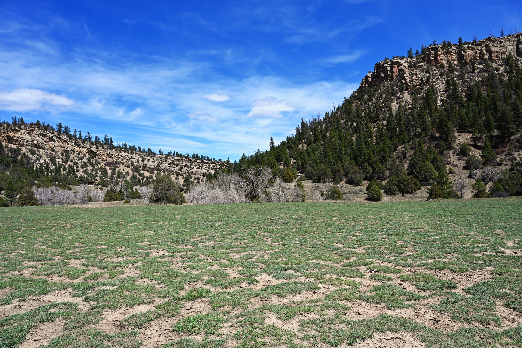 TBD Cr 352, Lumberton, New Mexico image 17
