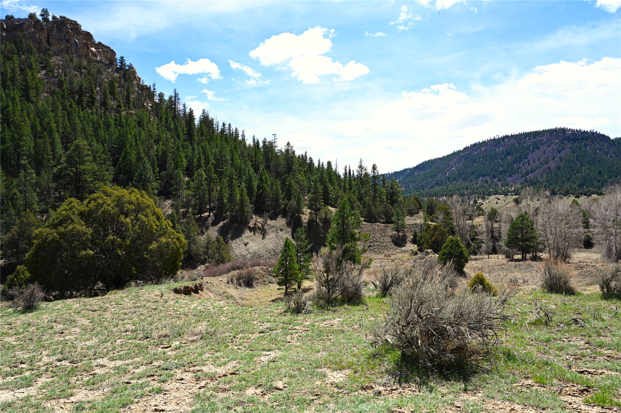 TBD Cr 352, Lumberton, New Mexico image 3