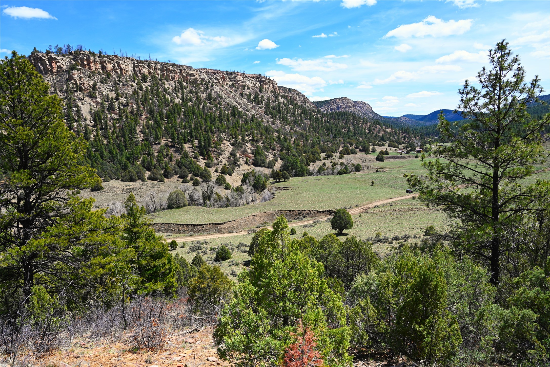 TBD Cr 352, Lumberton, New Mexico image 25