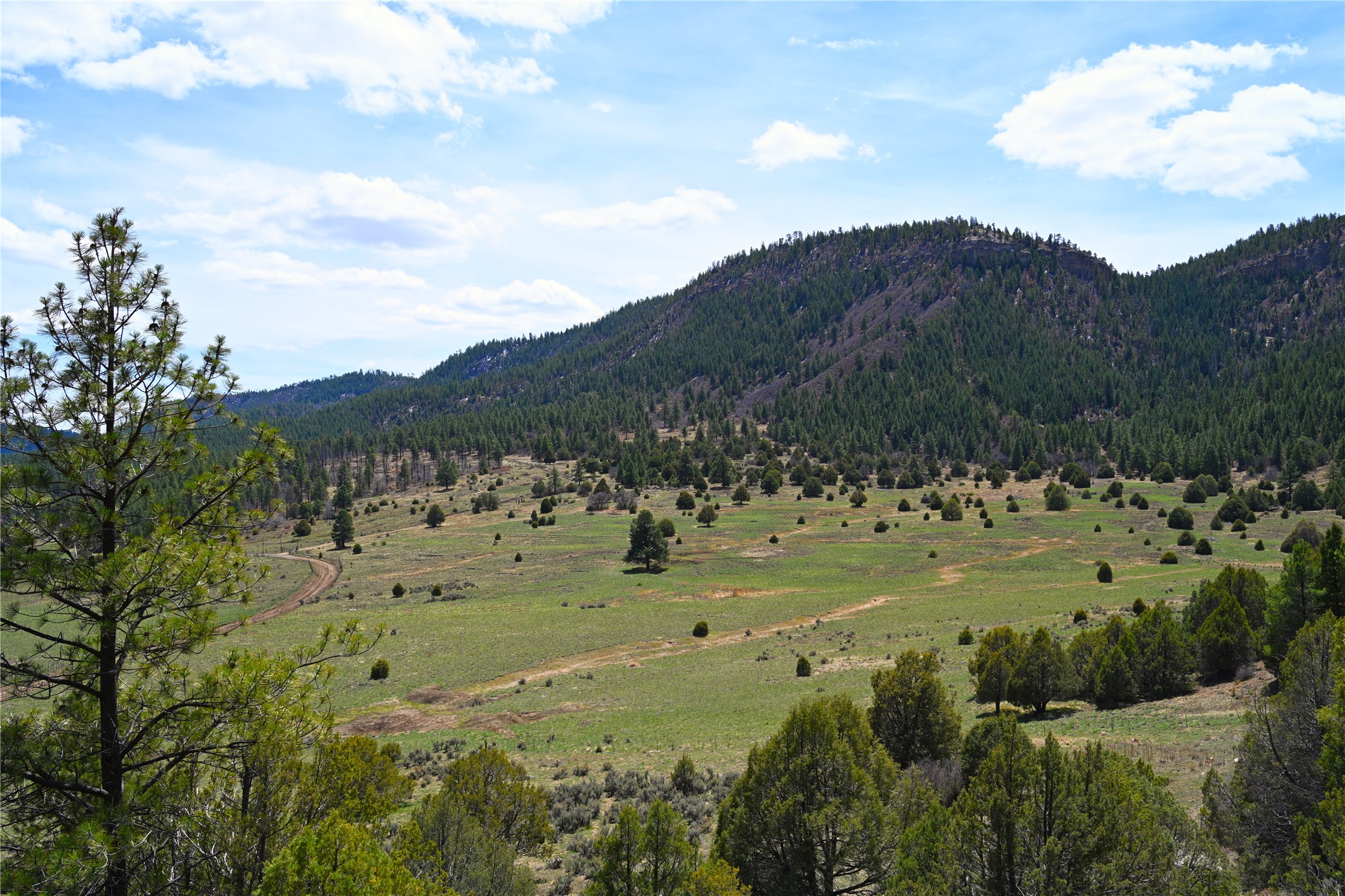 TBD Cr 352, Lumberton, New Mexico image 27