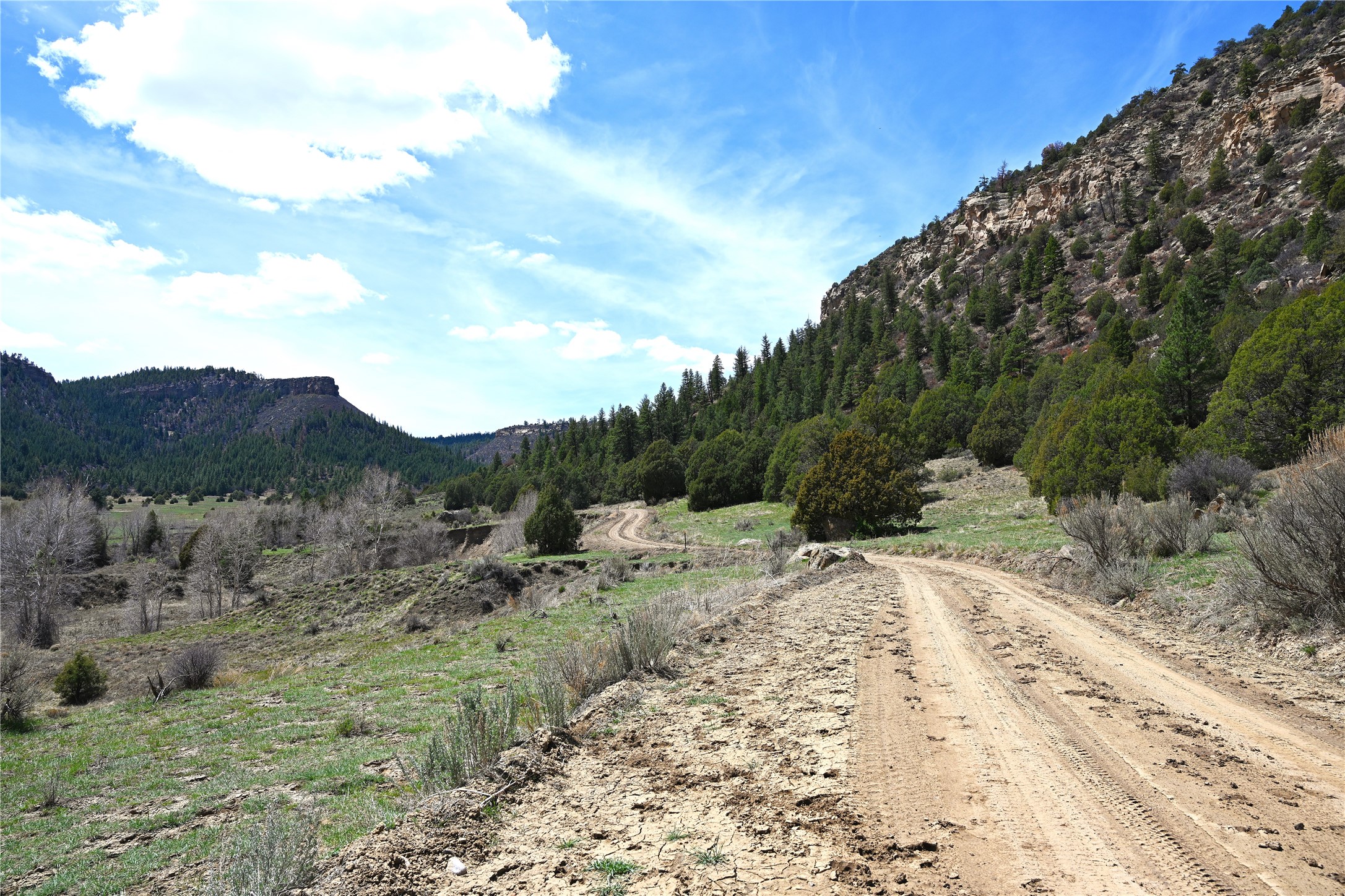 TBD Cr 352, Lumberton, New Mexico image 1