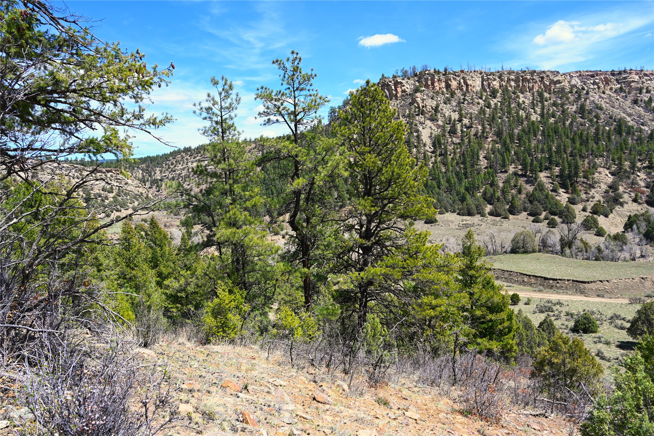 TBD Cr 352, Lumberton, New Mexico image 26
