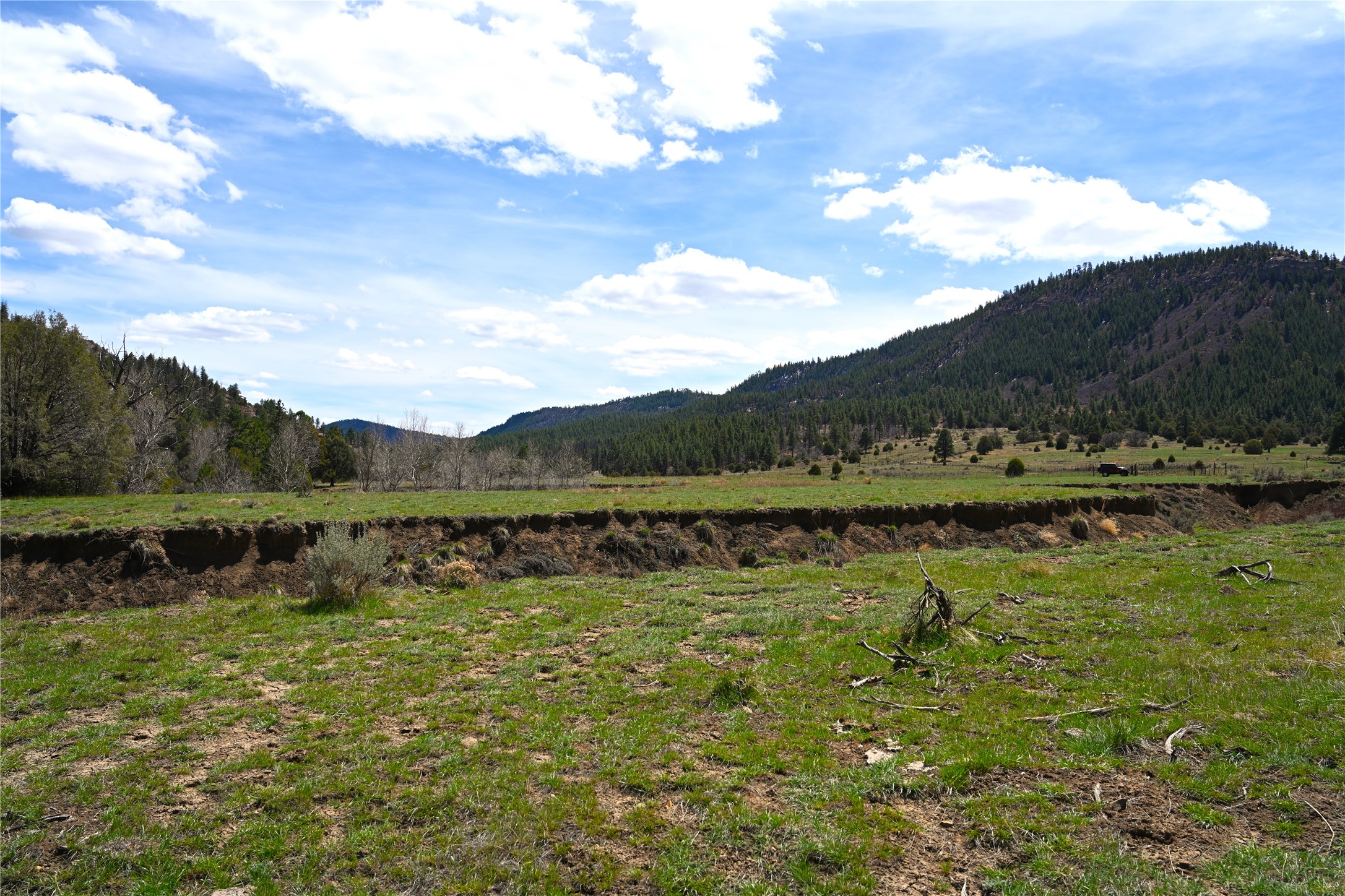 TBD Cr 352, Lumberton, New Mexico image 44