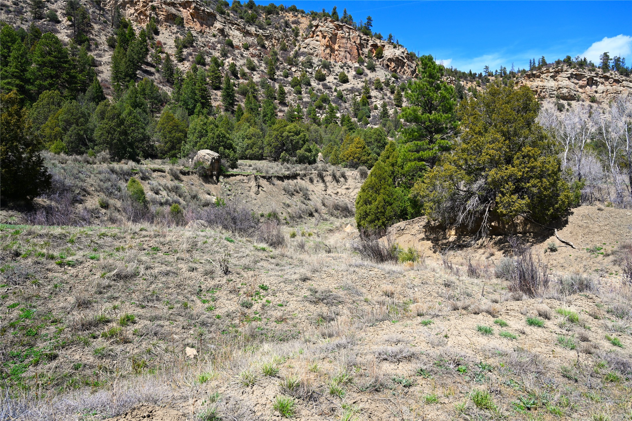 TBD Cr 352, Lumberton, New Mexico image 46