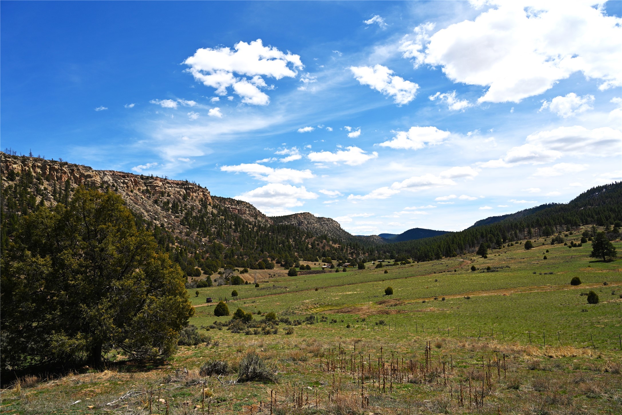 TBD Cr 352, Lumberton, New Mexico image 21